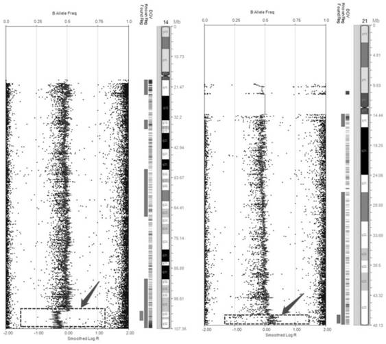 Method for detecting translocation fragment monomer or trisome in latent balance translocation carrier embryo