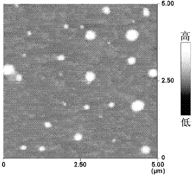 Protein or nucleic acid drug liposome preparation and preparation method thereof based on tetraether lipid