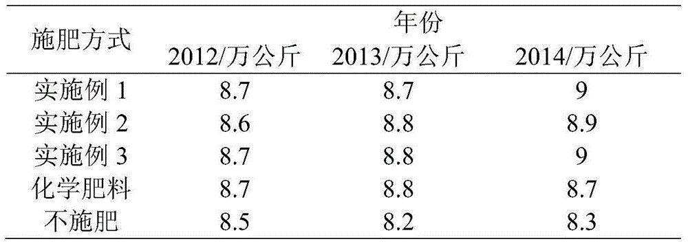 Bio-organic fertilizer and production process thereof