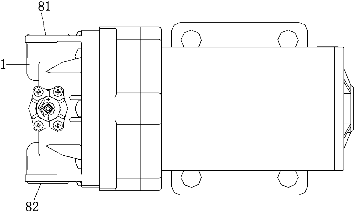 Diaphragm stabilized-pressure pump