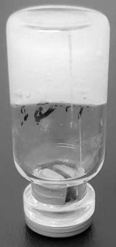 Preparation method of biogel and biogel prepared by preparation method