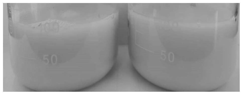 Ferric pyrophosphate microcapsule powder applied to Vc-containing series products and preparation method thereof