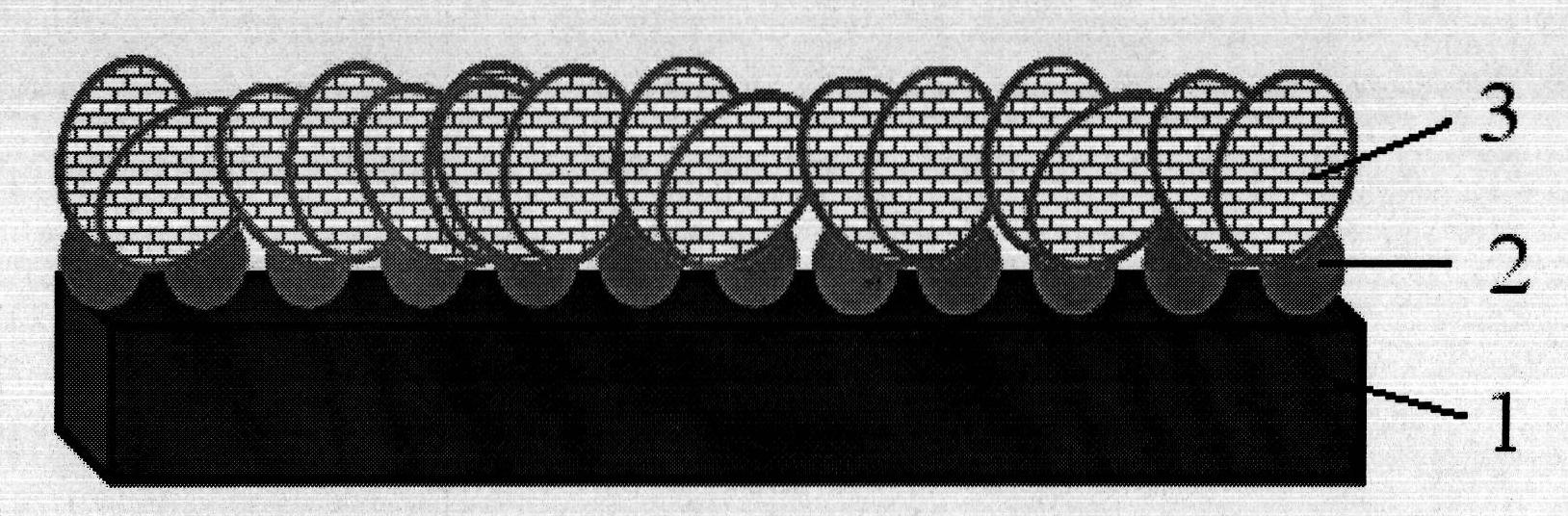 Surface enhanced raman spectroscopy substrate of continuous three dimensional structural nano silver and preparation method thereof