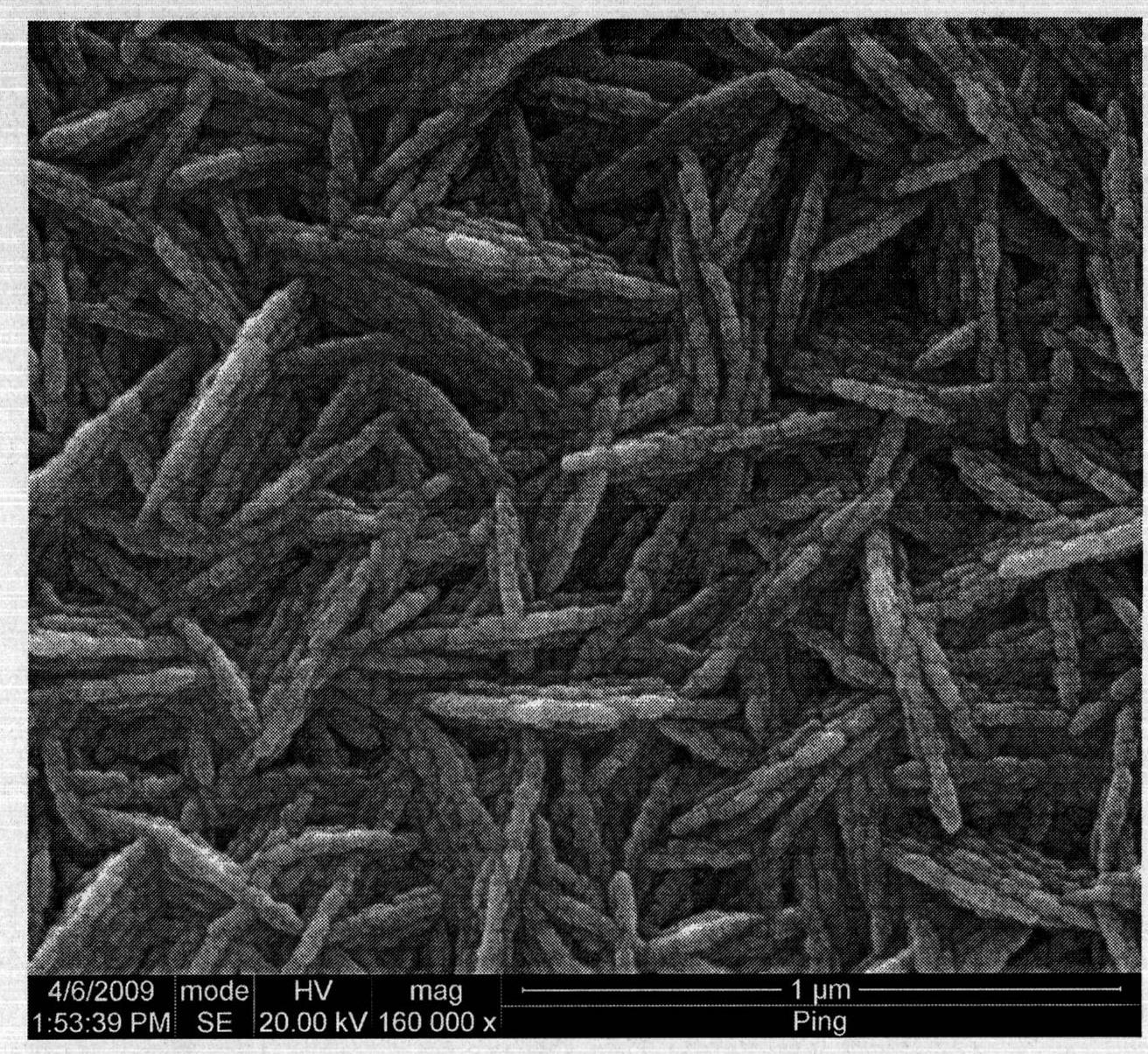 Surface enhanced raman spectroscopy substrate of continuous three dimensional structural nano silver and preparation method thereof