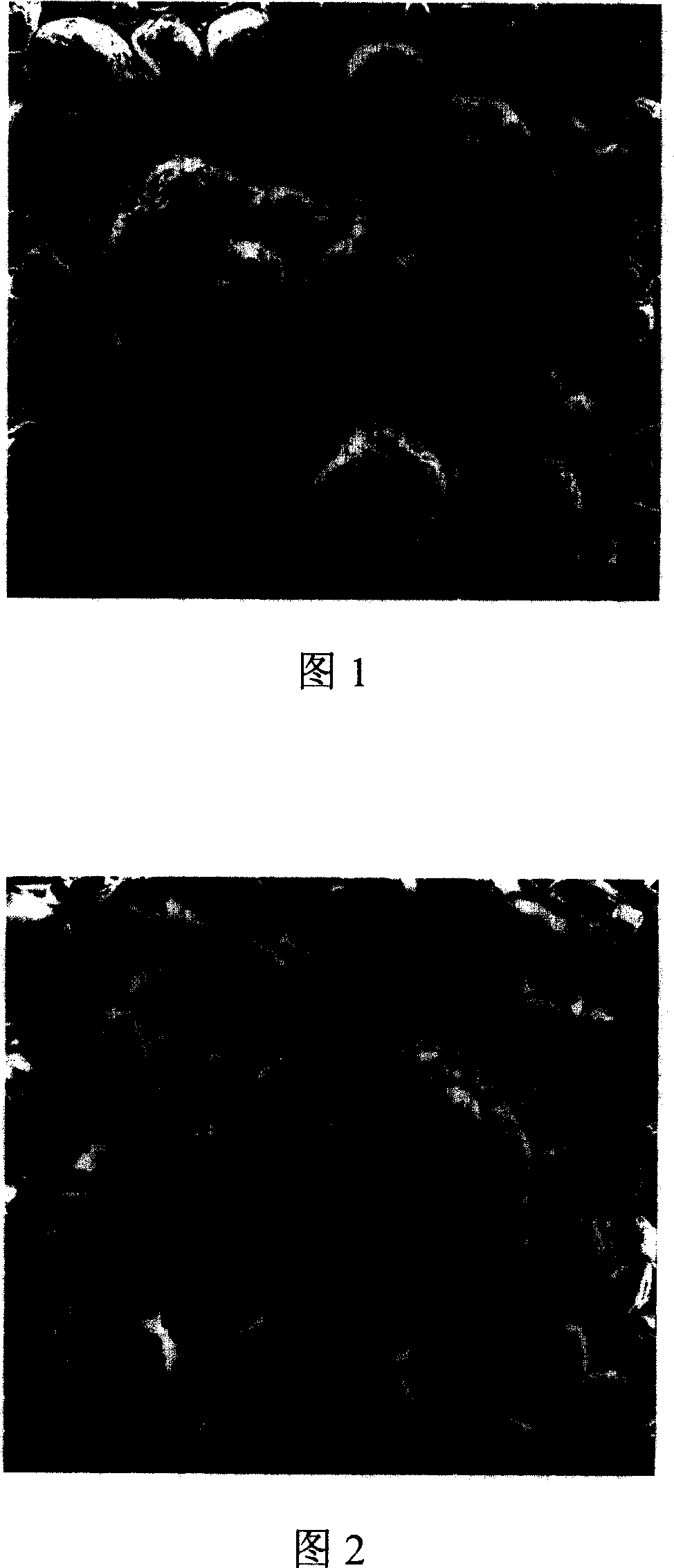 Aluminum alloy surface strengthening method using laser melting and coating