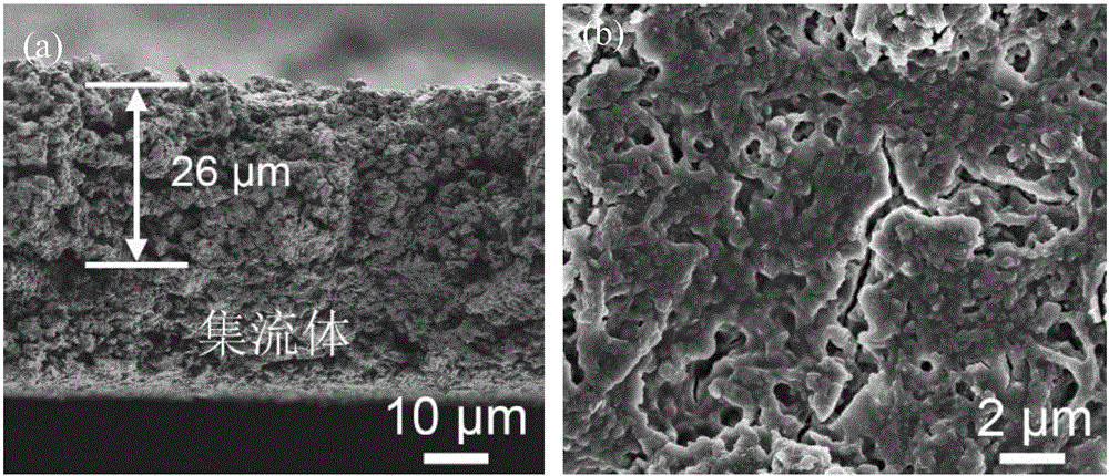 Metal lithium secondary battery and negative electrode and porous copper current collector thereof