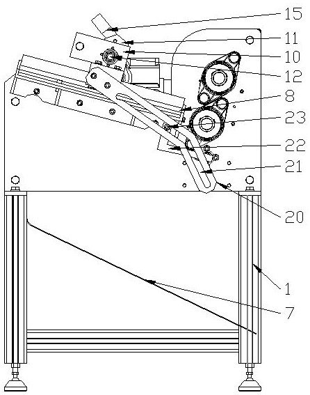 Cinnamon tree peeling equipment