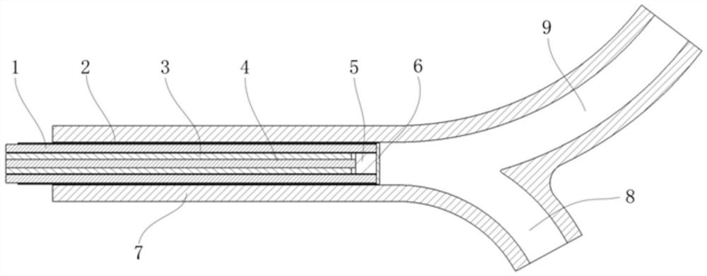 Vascular endoscope