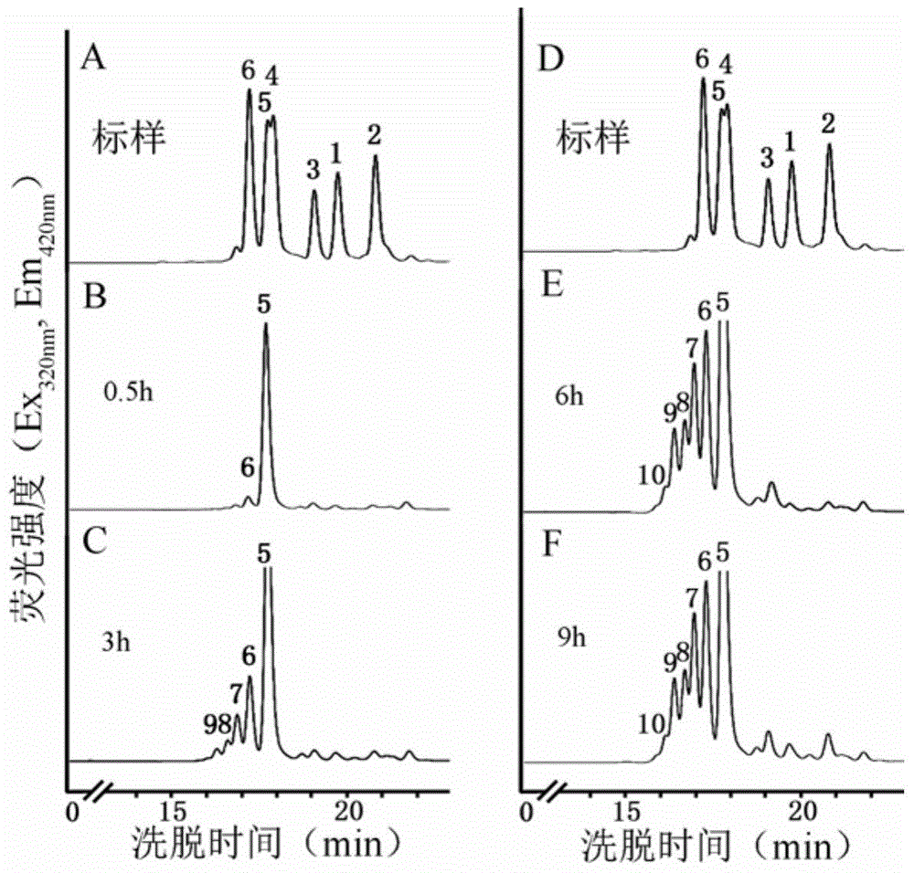 A method for detecting the activity of β-1,4-xylosyltransferase in xylan synthesis by HPLC