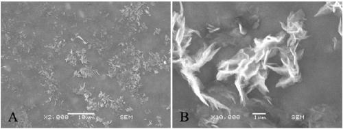 A low-damage, ultra-low-concentration guar gum fracturing fluid system, preparation method and application