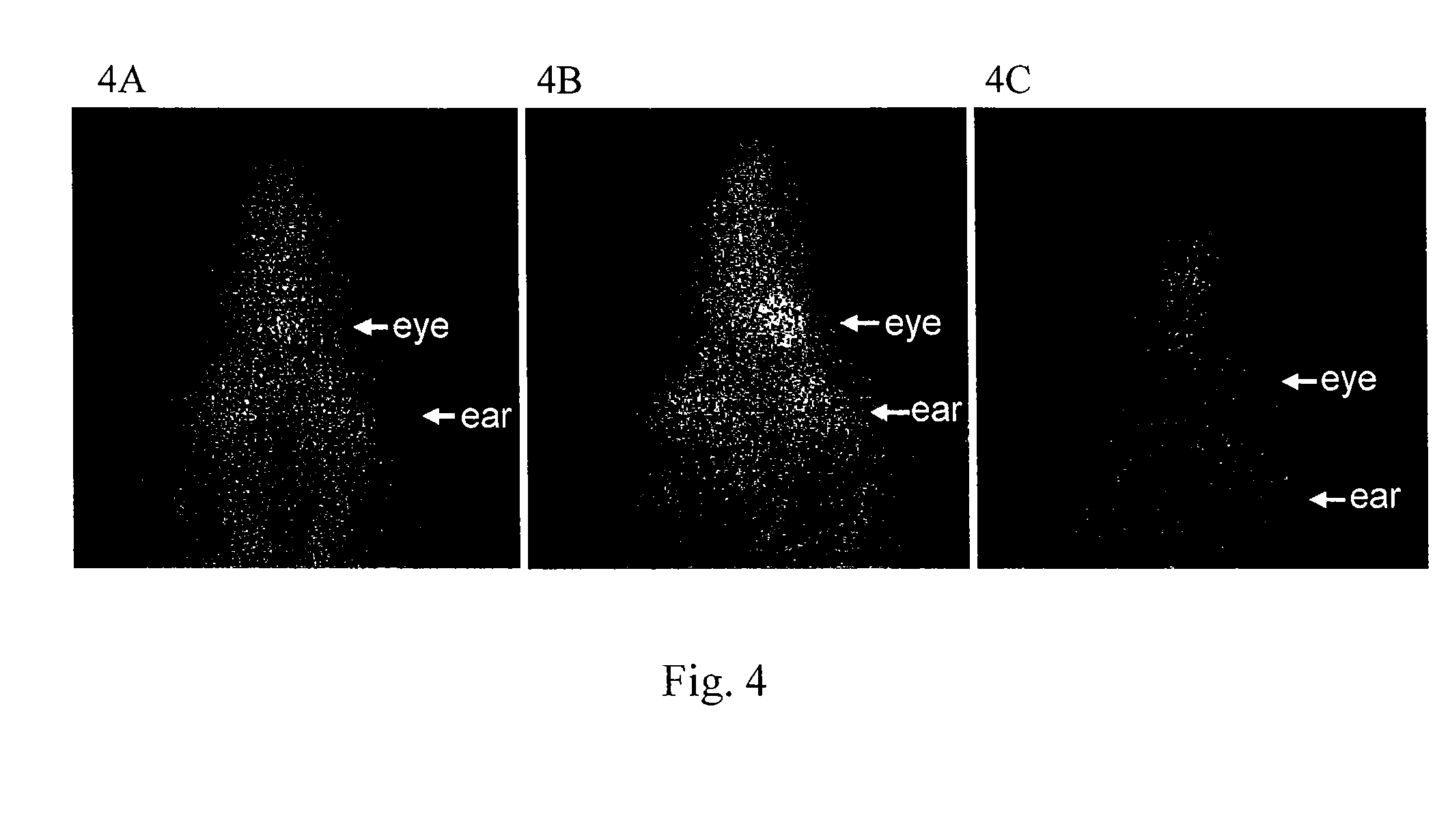 Liposome composition for delivery of a therapeutic agent to eyes