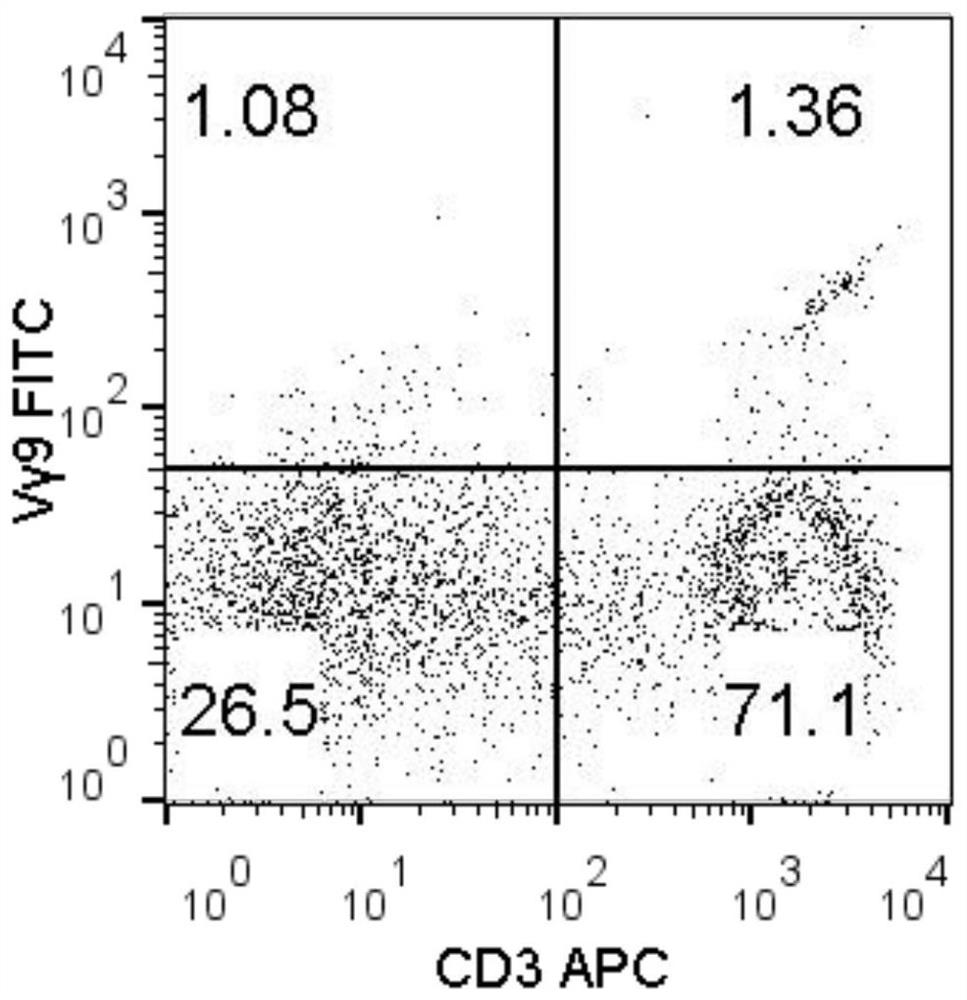 A method for inducing and expanding γδt cells with high killing activity in vitro