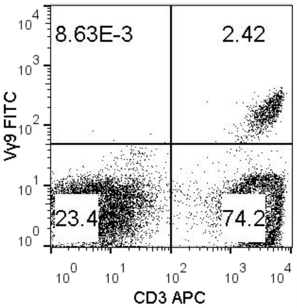 A method for inducing and expanding γδt cells with high killing activity in vitro