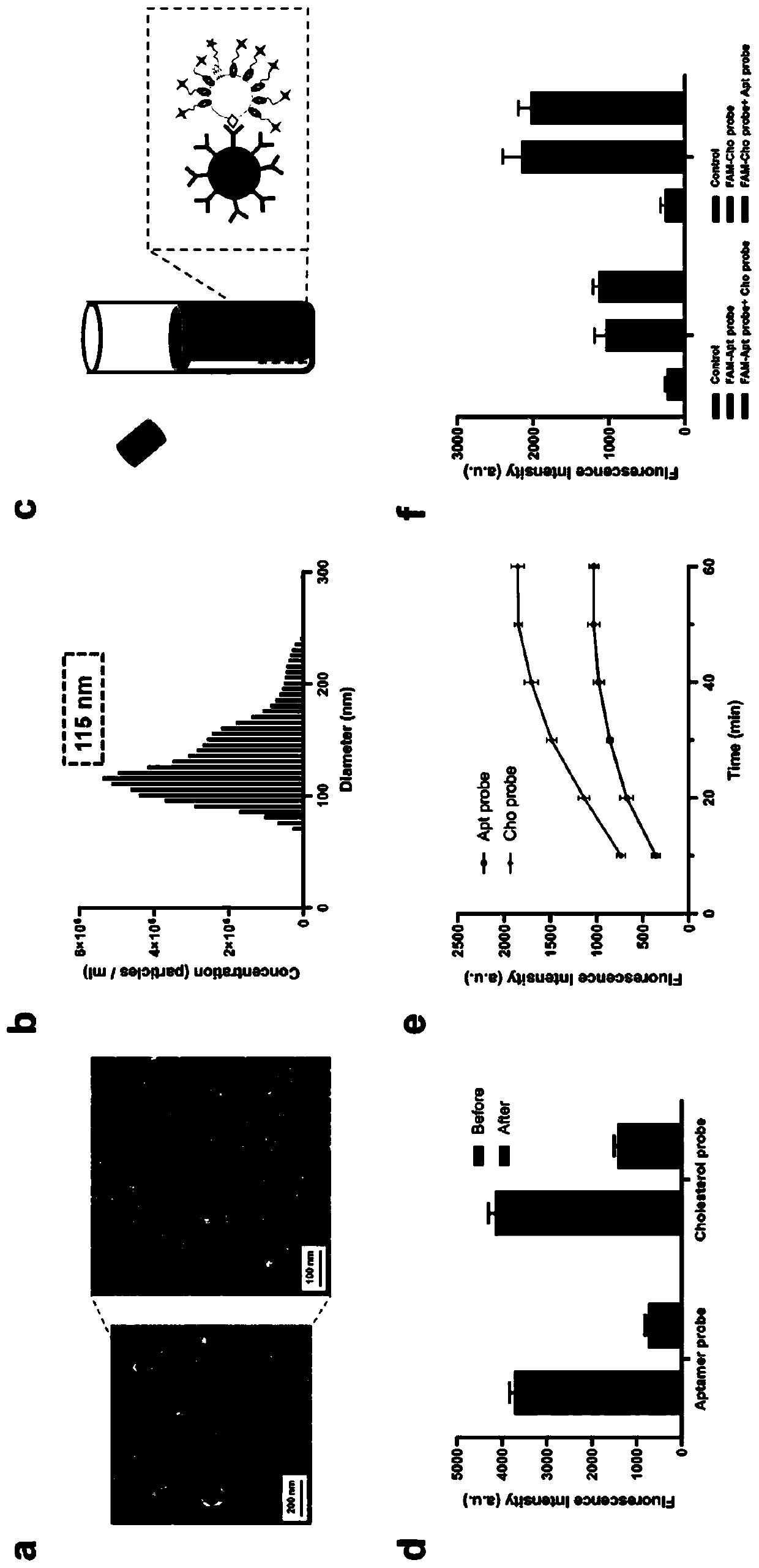 High-specificity exosome separation, detection and enrichment method