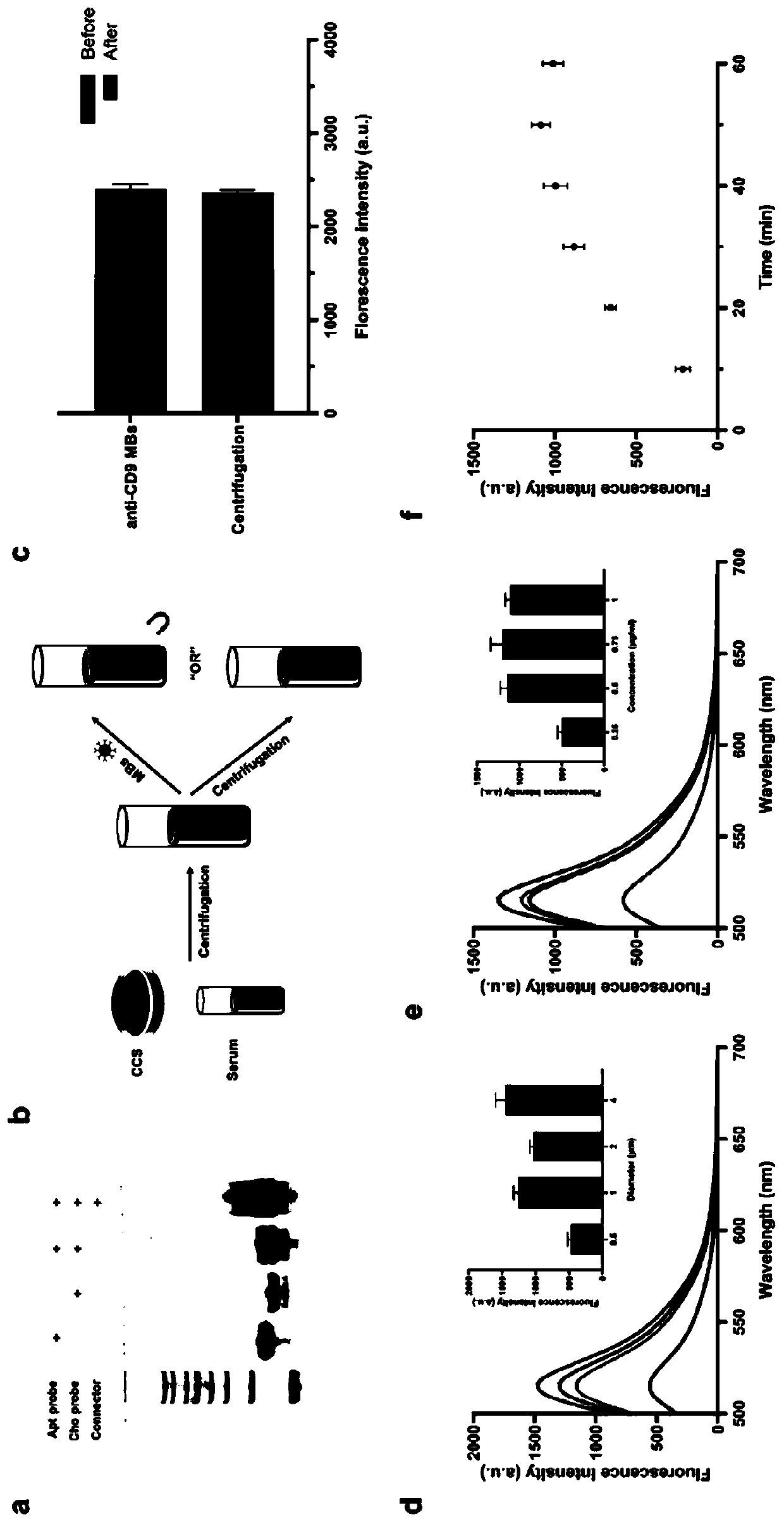 High-specificity exosome separation, detection and enrichment method