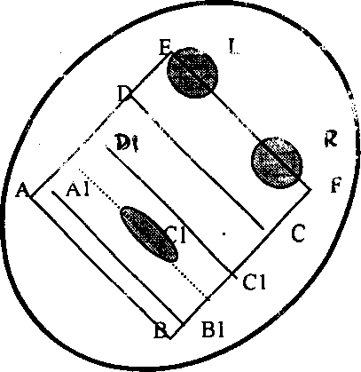 Method for detecting moving human face