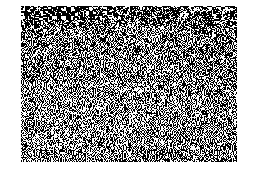 Method for manufacturing a polishing pad