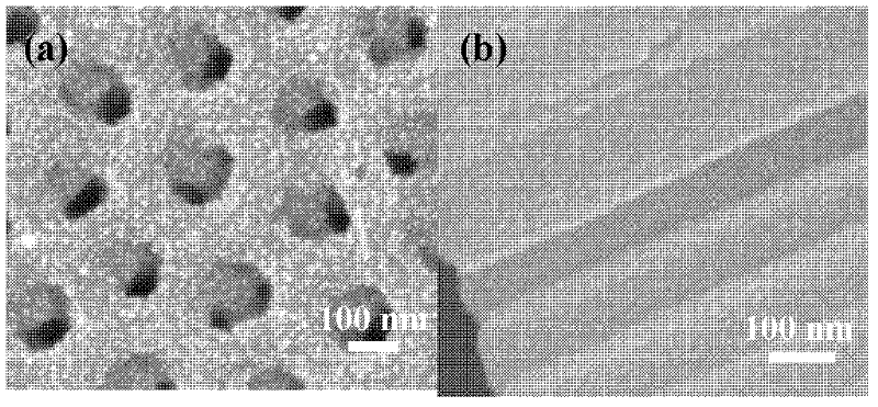 Method for performing photoelectrolysis of water and preparing hydrogen by using palladium quantum dot modified titanium dioxide nanotube array