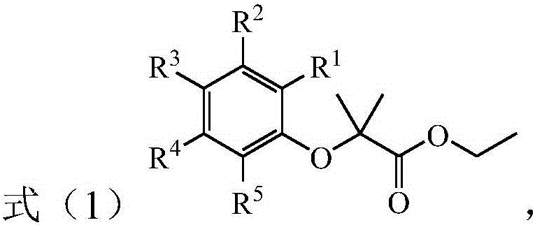 Nitroethylene-containing ester compound as well as preparation method and application thereof