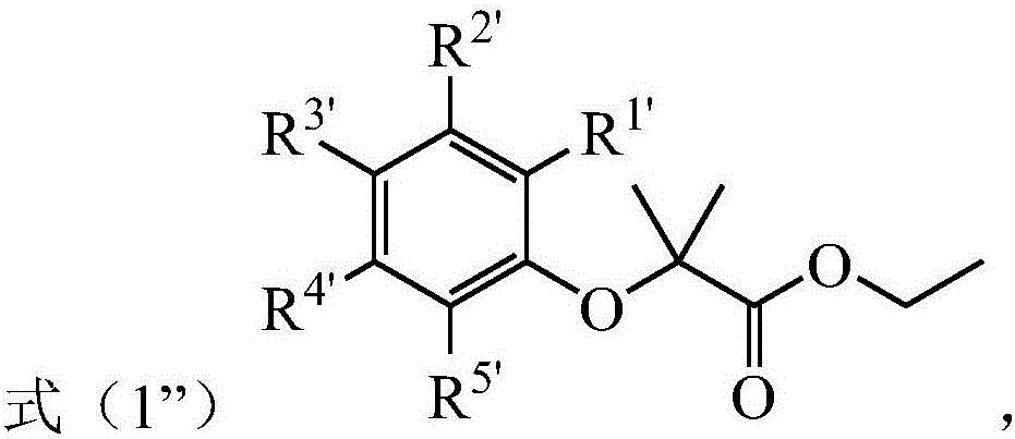 Nitroethylene-containing ester compound as well as preparation method and application thereof