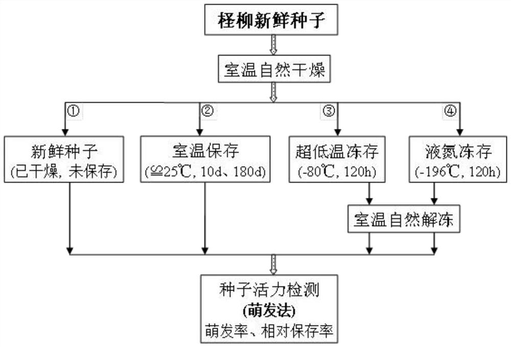 A kind of ultra-low temperature preservation method of tamarind seeds