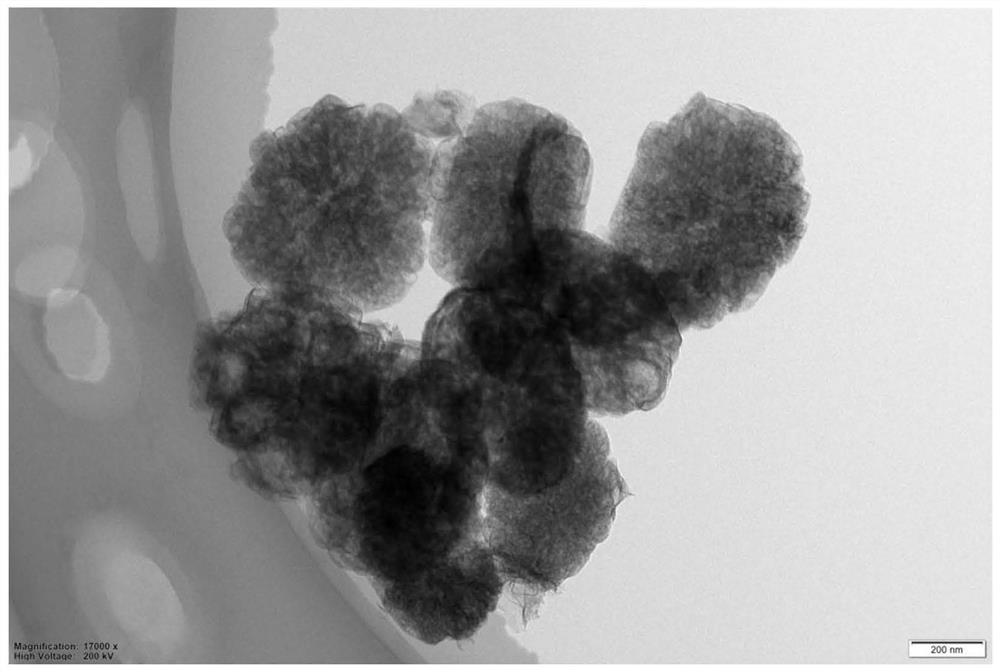 Hierarchically porous titanium silicalite molecular sieve coating, preparation method and application thereof