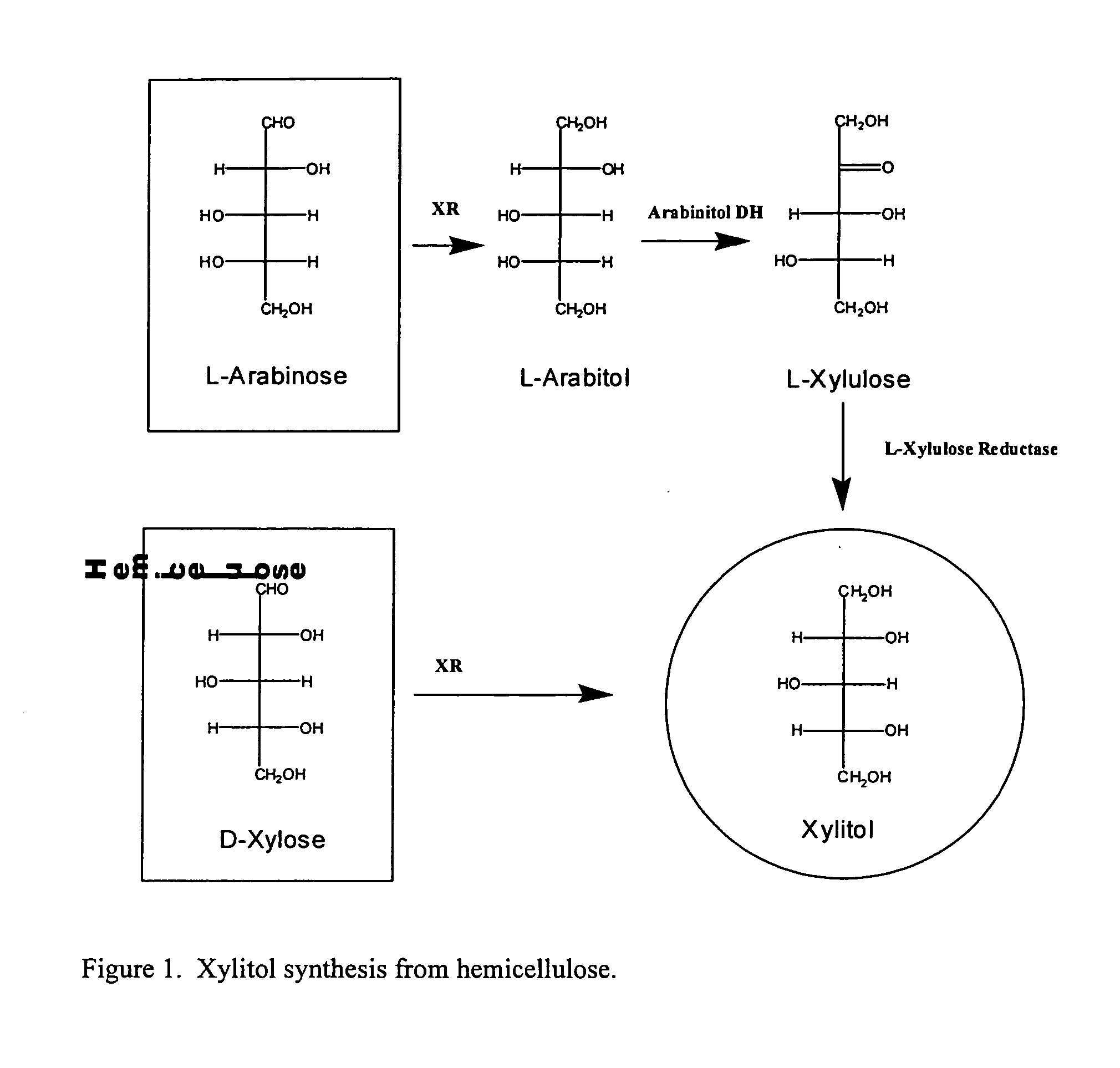 Methods for production of xylitol in microorganisms