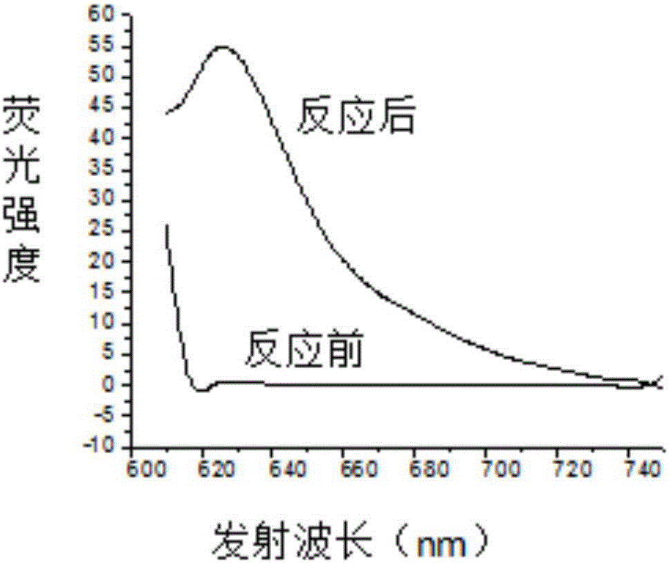 BODIPY dyes for generating near infrared fluorescence in situ as well as preparation method for BODIPY dyes and application of BODIPY dyes