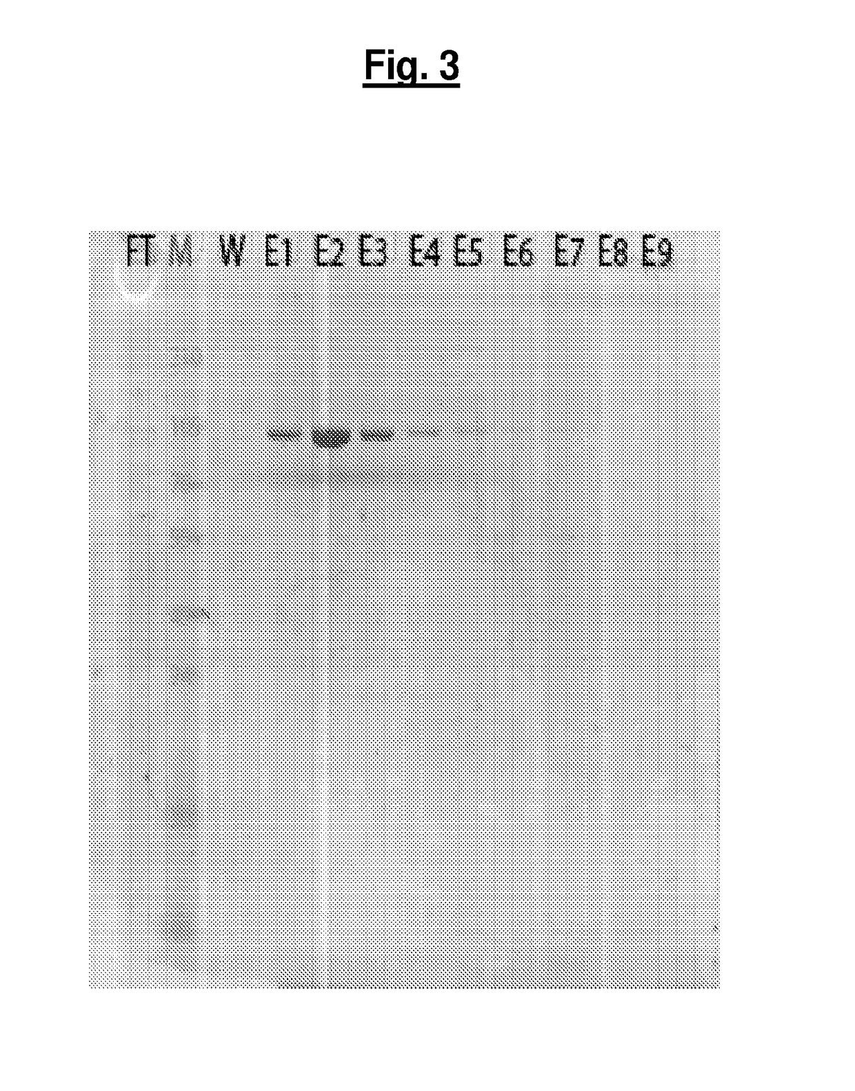 Compositions and methods for treating pathological calcification and ossification