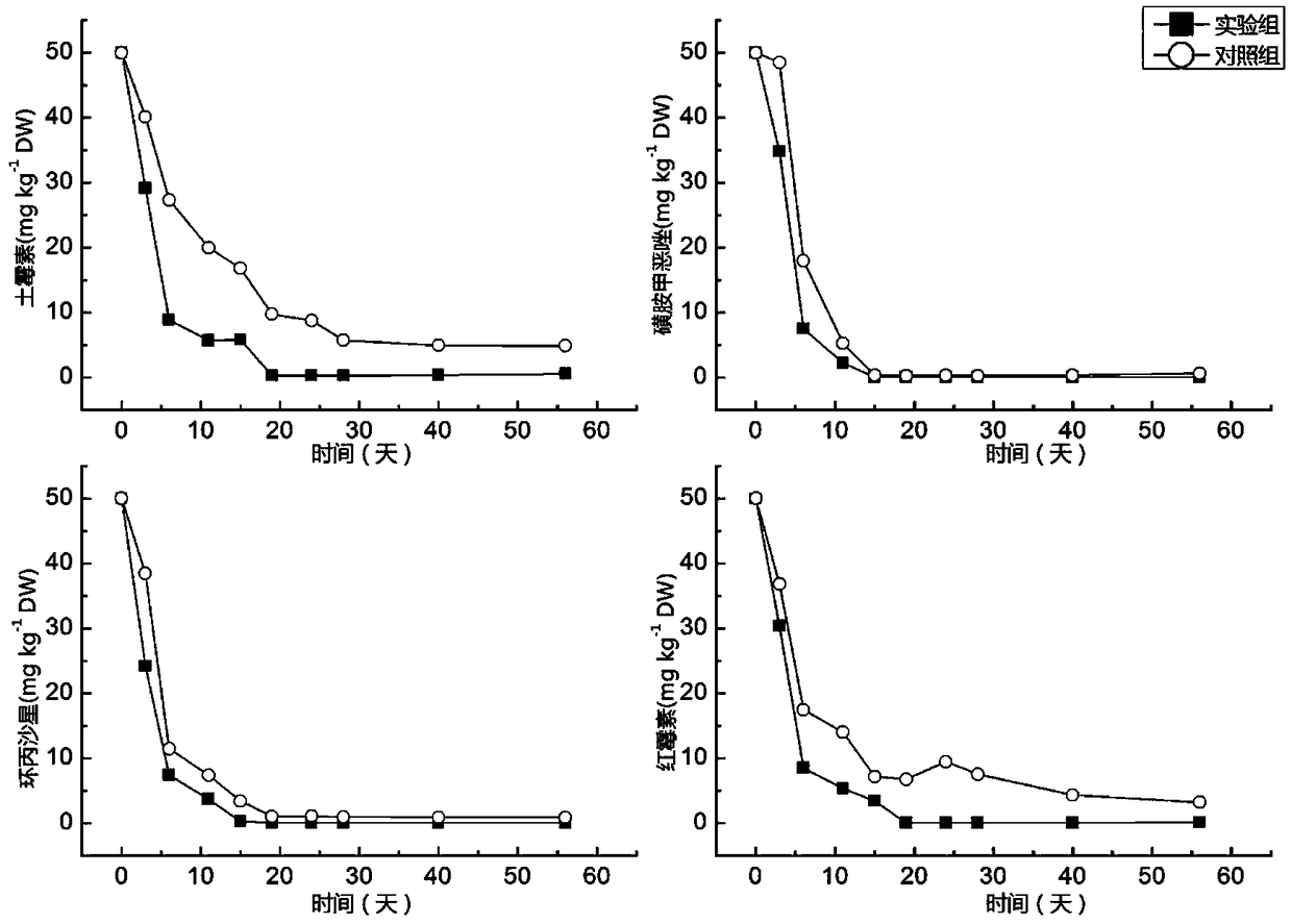 Urea bacillus SC-7 and application thereof in compost