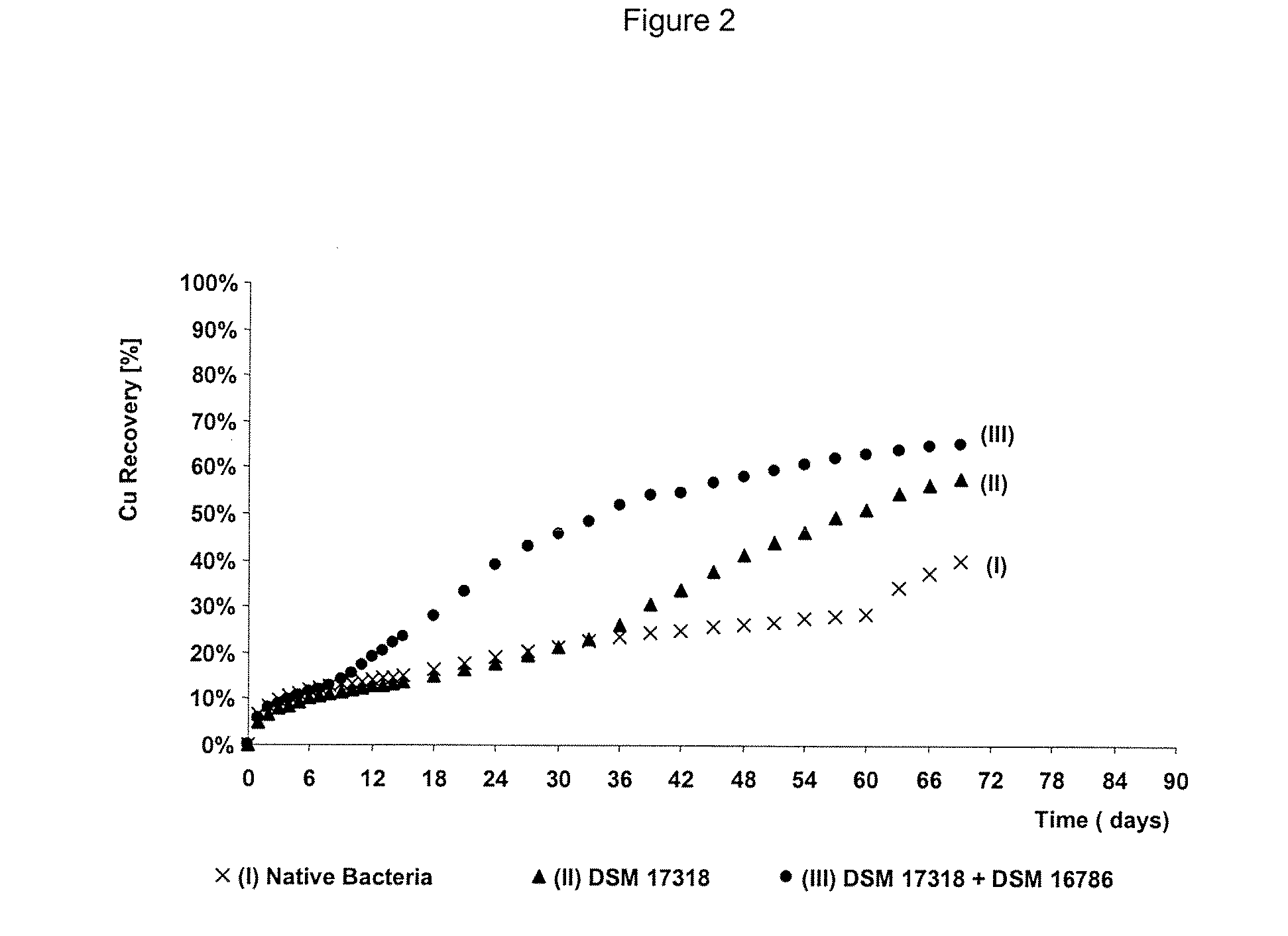 Process to increase the bioleaching speed of ores or concentrates of sulfide metal species, by means of continuous inoculation with leaching solution that contains isolated microorganisms, with or without presence of native microorganisms