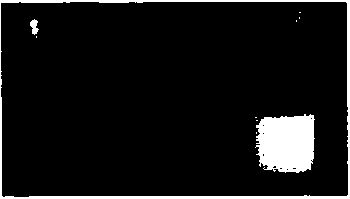 Liposome preparation method and method for preparing liposome adjuvant