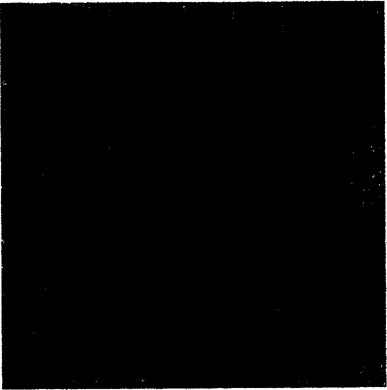 Method for preparing compact calcium oxide sand