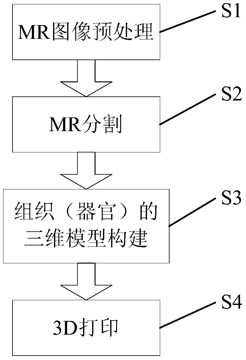 Method for 3D printing of head and brain models with multiple materials at low cost