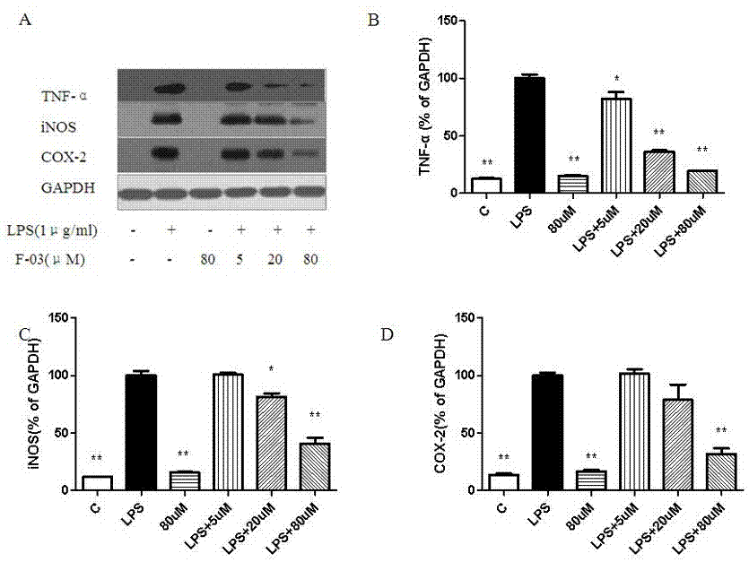 3‑cyclopropylmethoxy‑4‑alkoxybenzamide phosphodiesterase 4 inhibitor