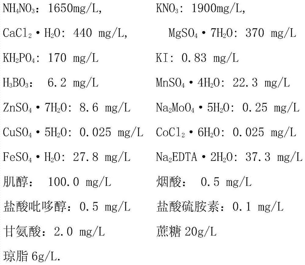 A kind of culture medium for rapid growth of Dendrobium candidum in vitro