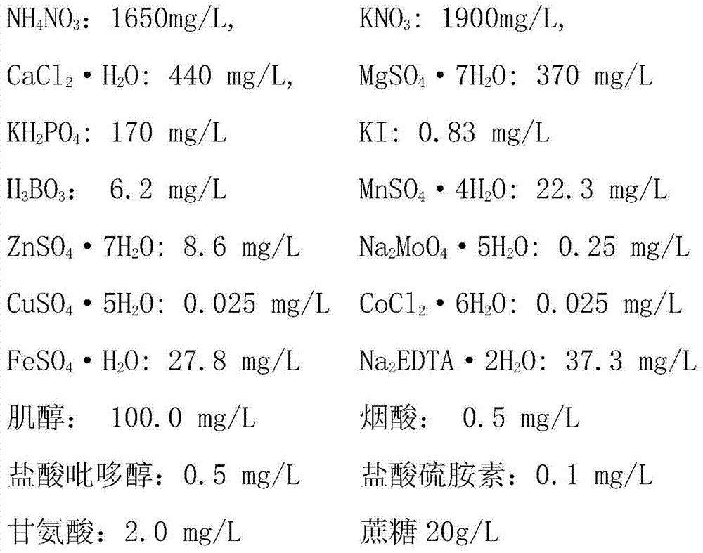 A kind of culture medium for rapid growth of Dendrobium candidum in vitro