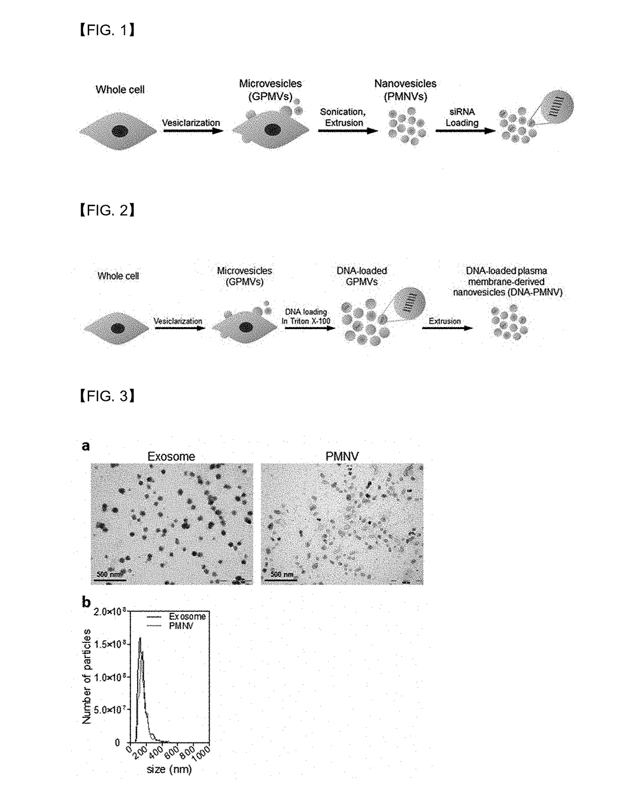 Gene carrier using cell-derived nanovesicles and method for preparing the same