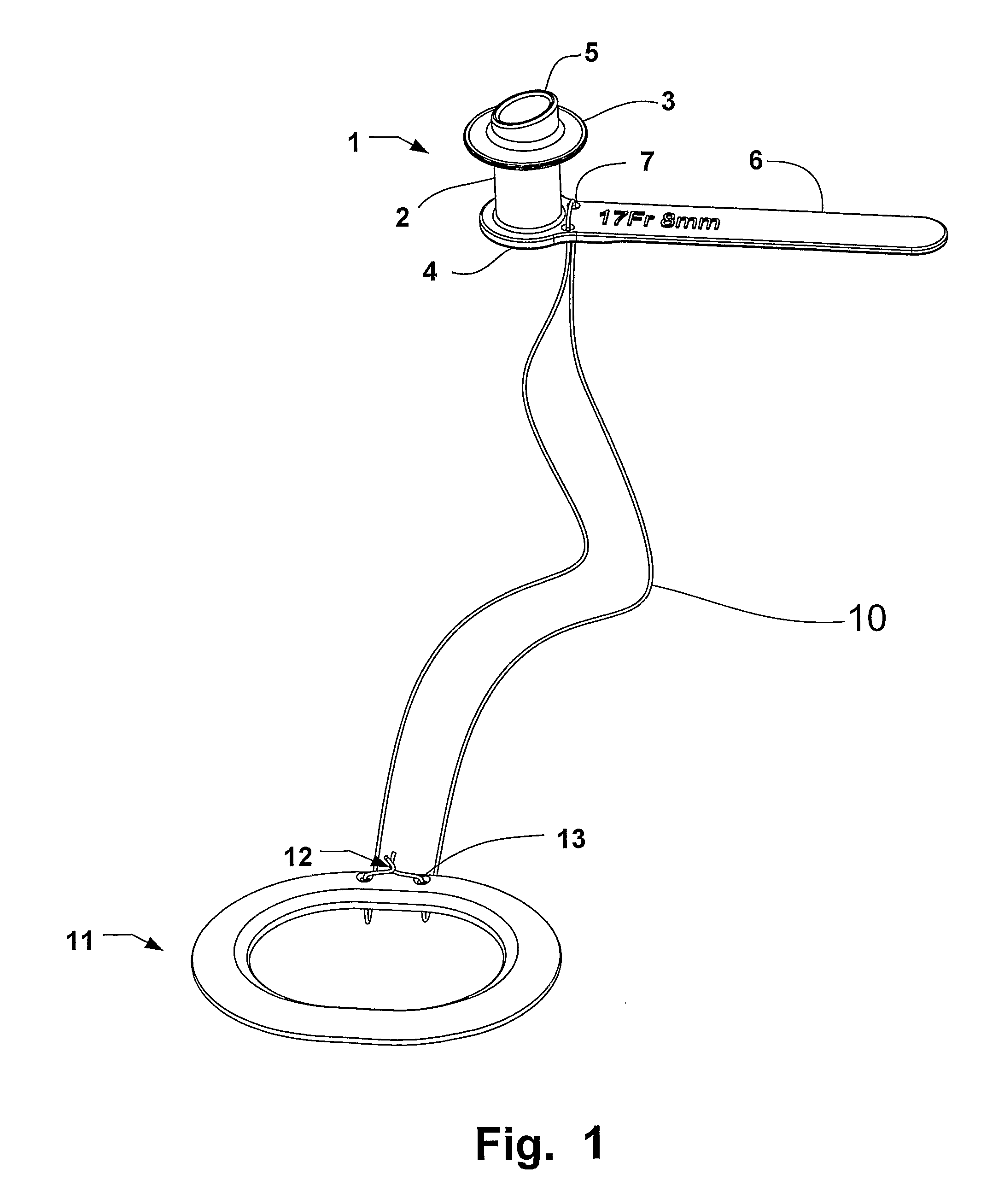 Voice prosthesis, insertion tool and method