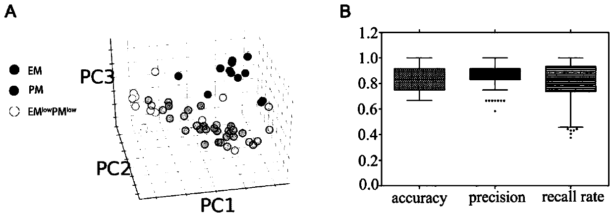 Glioma EM/PM molecular typing method based on Taqman low-density chip and application of glioma EM/PM molecular typing method