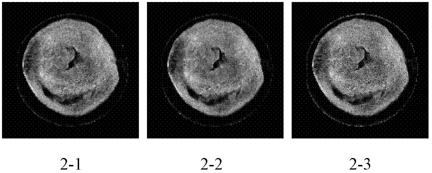 Method and system for reconstructing magnetic resonance parameters