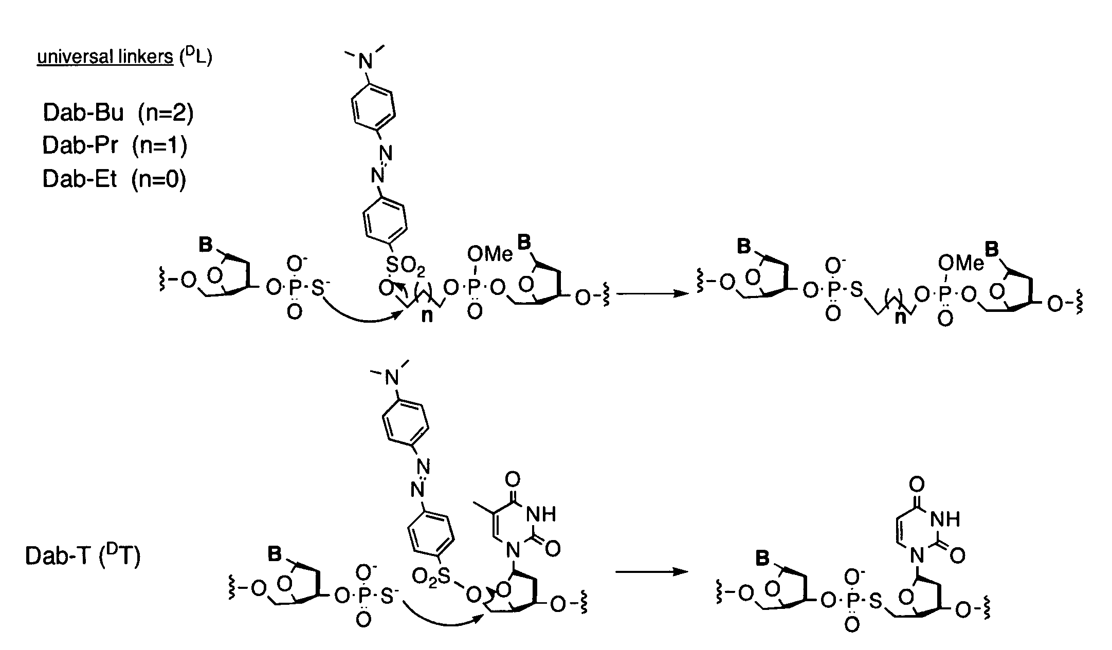 Universal linker compositions for the release or transfer of chemical agents from a polynucleotide