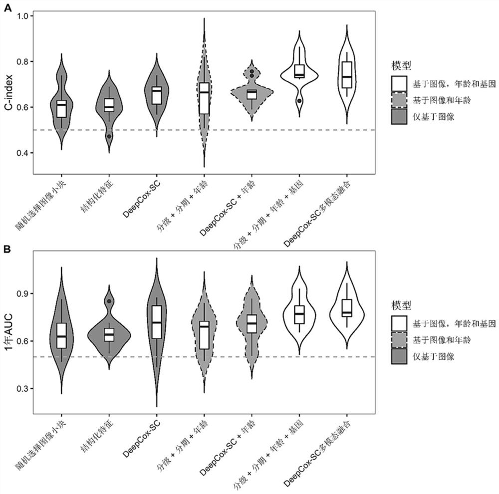 Stomach cancer patient survival risk prediction method based on histopathology image and gene expression data