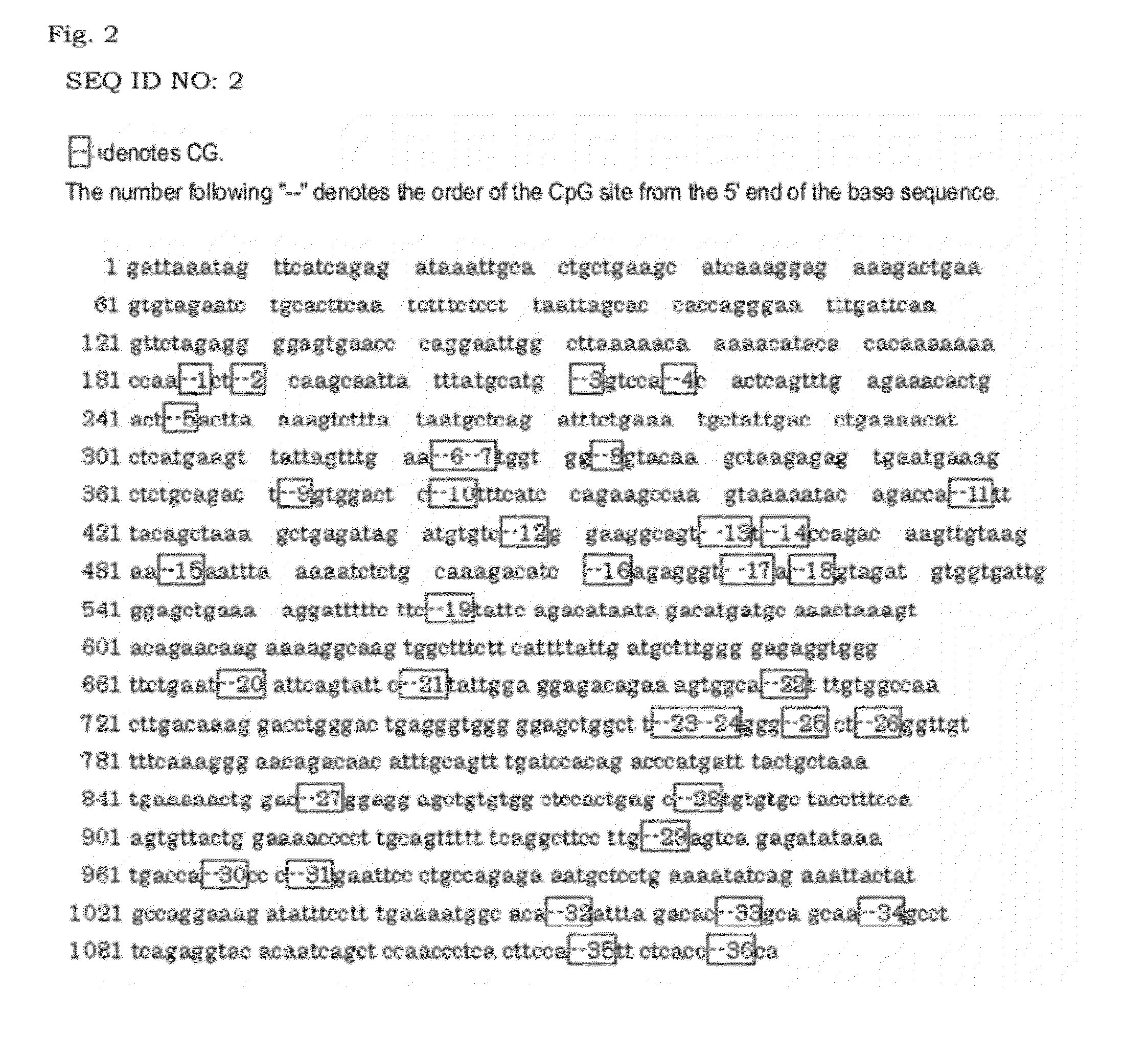 Method for determining presence or absence of epithelial cancer-origin cell in biological sample, and molecular marker and kit therefor