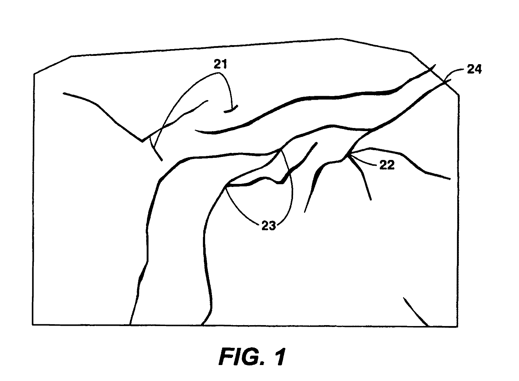 Generation of constrained voronoi grid in a plane