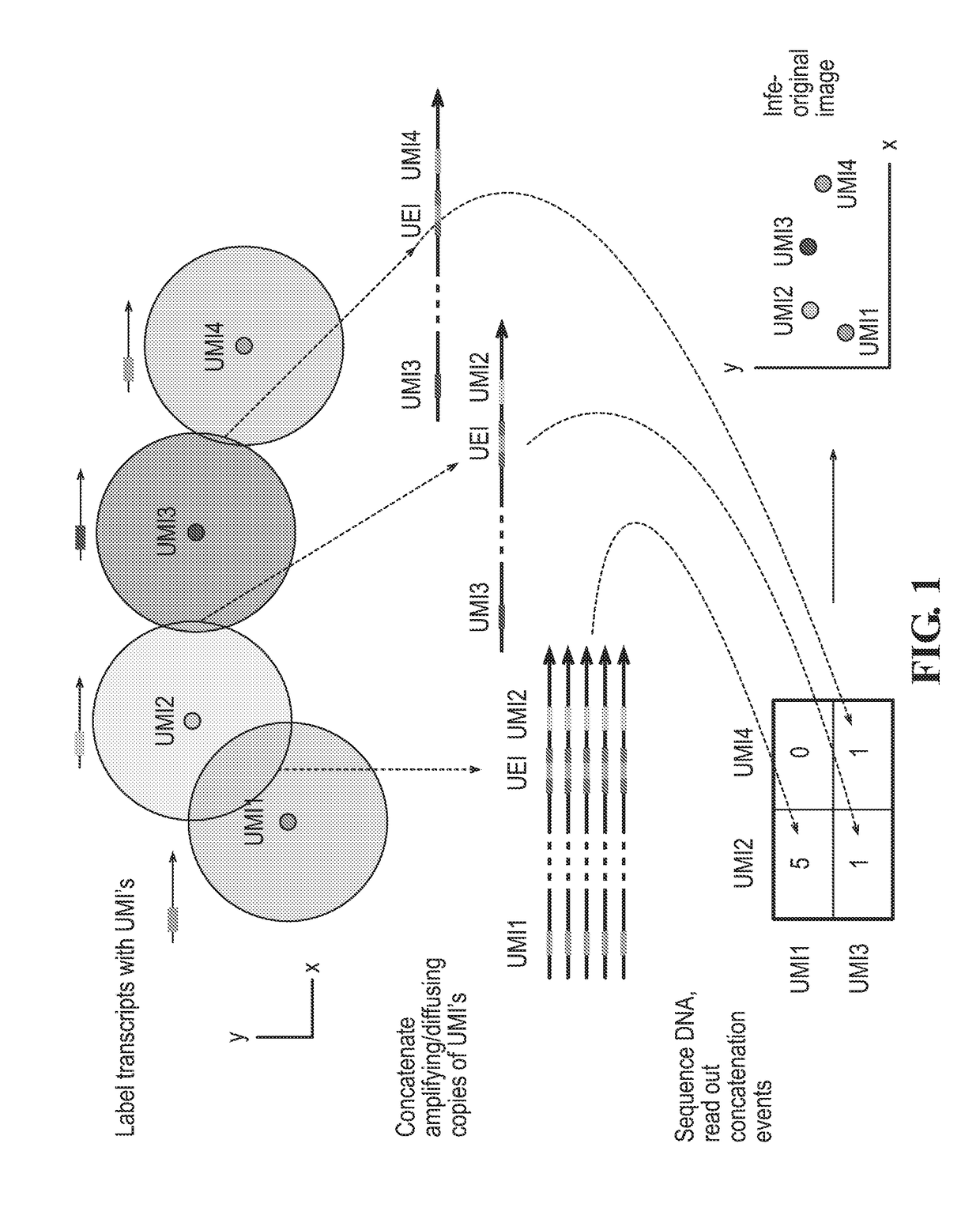 DNA microscopy