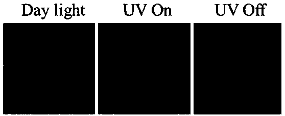 Method for preparing solid room-temperature phosphorescent carbon dots by one-pot process