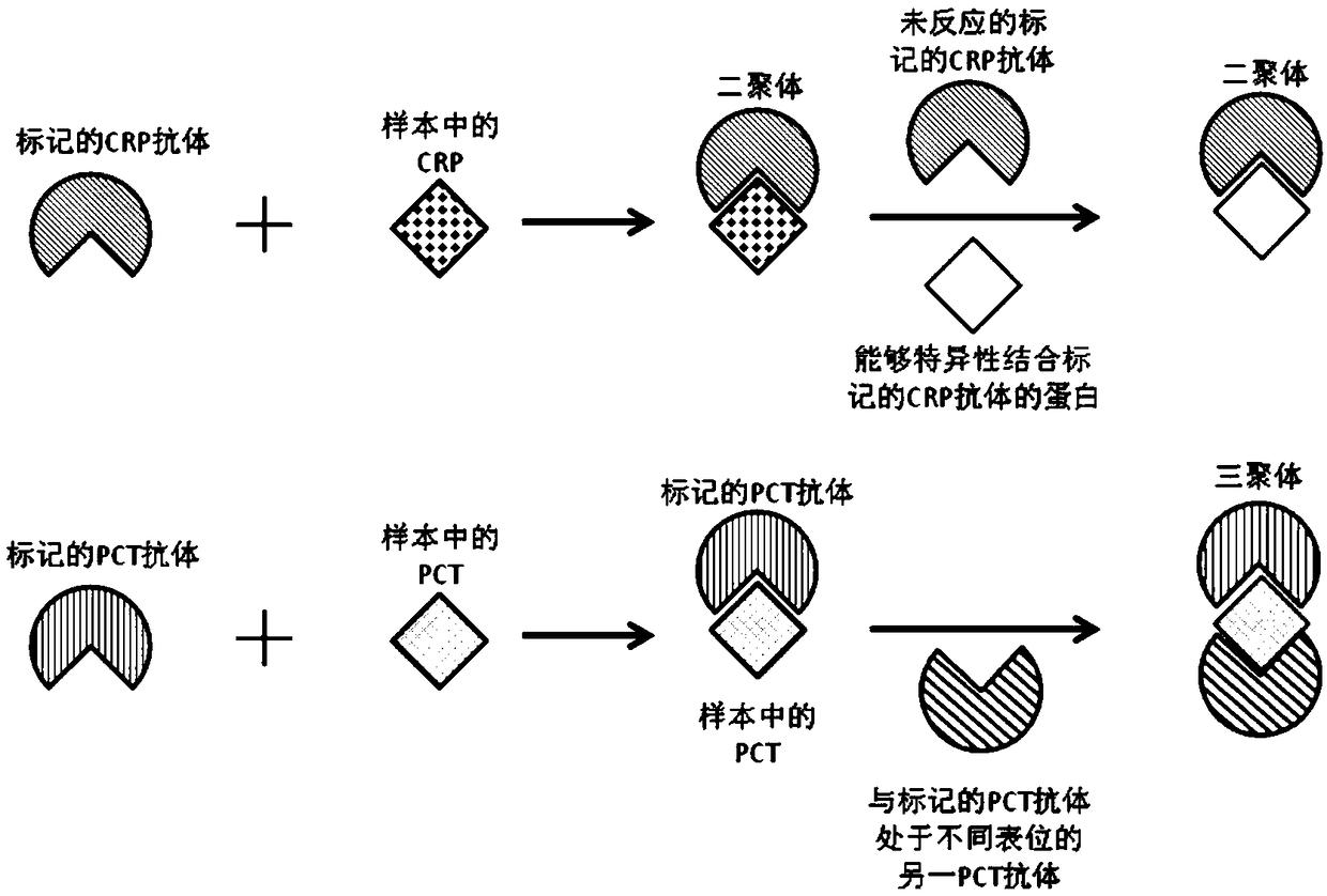 Joint test strip and preparation method thereof