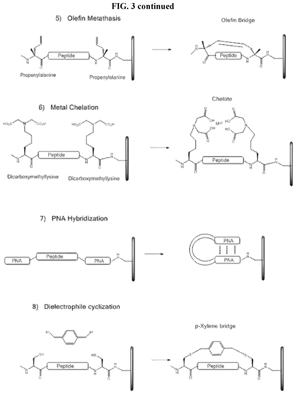 Array-based cyclic peptide libraries