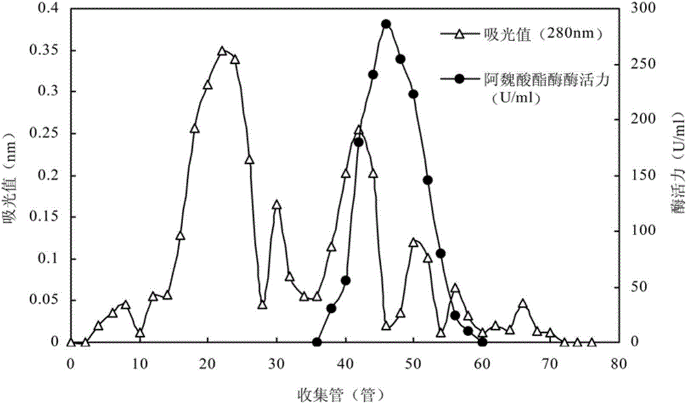 Method for preparing heat-resistant acid-resistant feruloyl esterase by using trichoderma atroviride